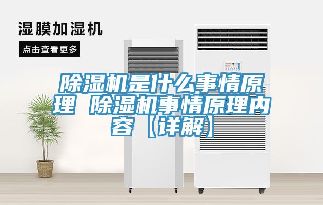 小黄片直播视频是什么事情原理 小黄片直播视频事情原理内容【详解】