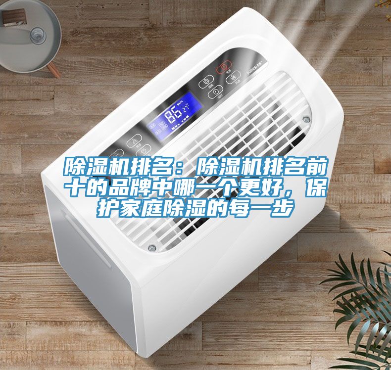 小黄片直播视频排名：小黄片直播视频排名前十的品牌中哪一个更好，保护家庭除湿的每一步