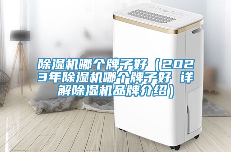 小黄片直播视频哪个牌子好（2023年小黄片直播视频哪个牌子好 详解小黄片直播视频品牌介绍）