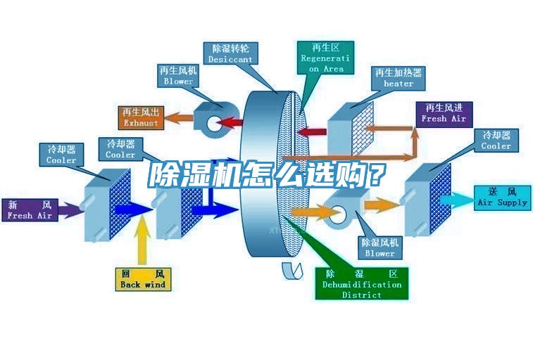 小黄片直播视频怎么选购？
