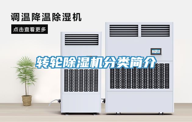 转轮小黄片直播视频分类简介
