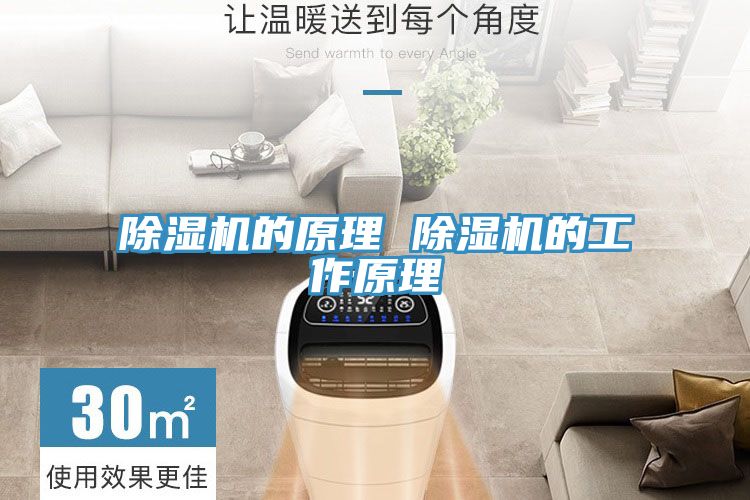 小黄片直播视频的原理 小黄片直播视频的工作原理