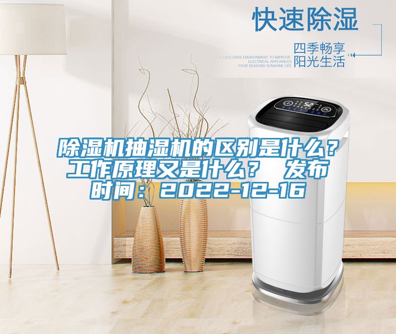 小黄片直播视频抽湿机的区别是什么？工作原理又是什么？ 发布时间：2022-12-16