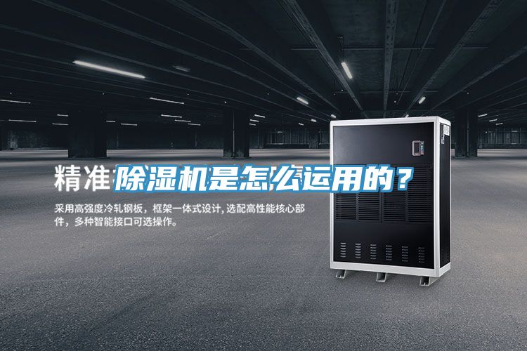 小黄片直播视频是怎么运用的？