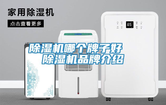 小黄片直播视频哪个牌子好  小黄片直播视频品牌介绍