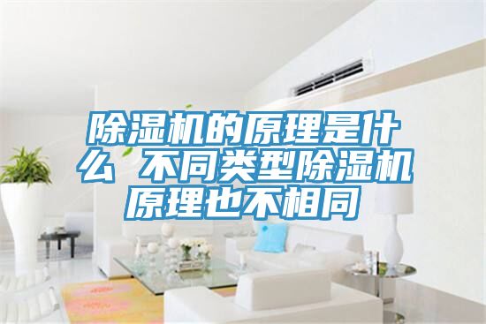 小黄片直播视频的原理是什么 不同类型小黄片直播视频原理也不相同