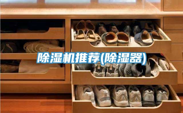 小黄片直播视频推荐(除湿器)