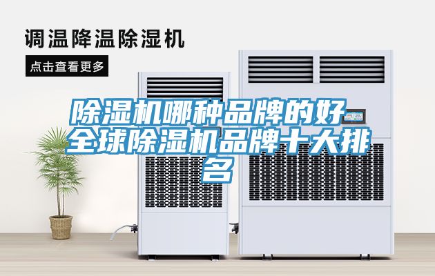 小黄片直播视频哪种品牌的好 全球小黄片直播视频品牌十大排名
