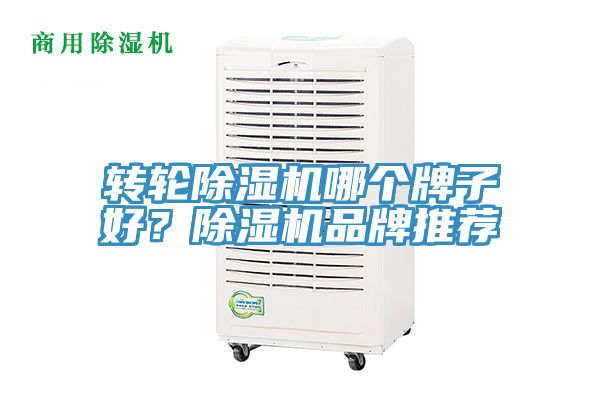 转轮小黄片直播视频哪个牌子好？小黄片直播视频品牌推荐