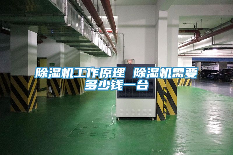 小黄片直播视频工作原理 小黄片直播视频需要多少钱一台