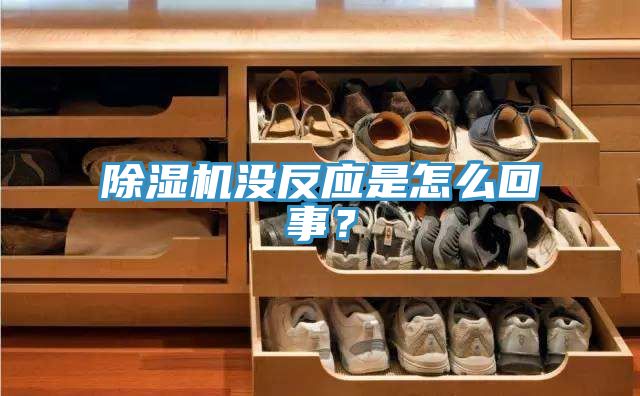 小黄片直播视频没反应是怎么回事？
