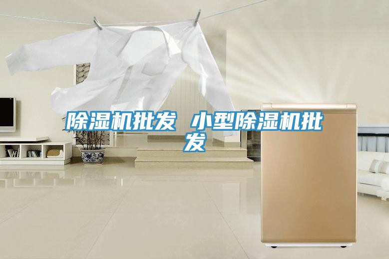 小黄片直播视频批发 小型小黄片直播视频批发