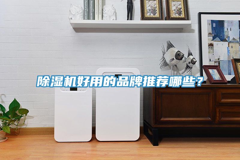 小黄片直播视频好用的品牌推荐哪些？