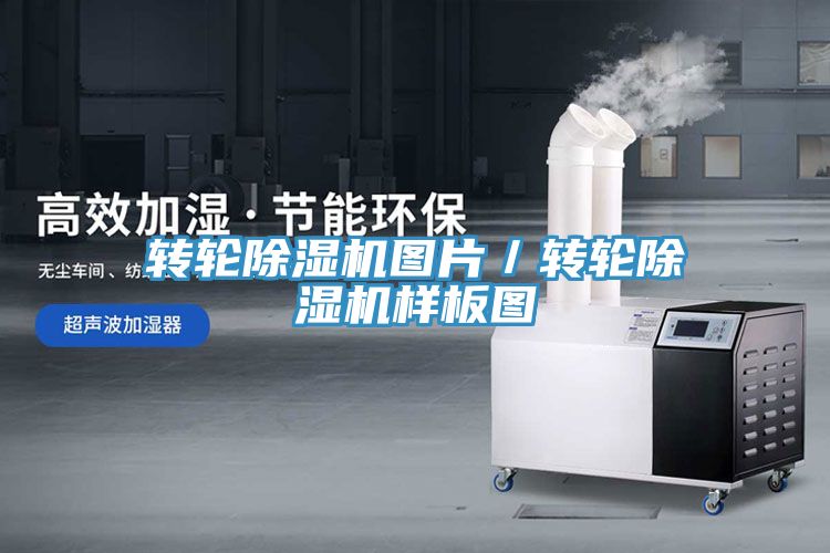 转轮小黄片直播视频图片／转轮小黄片直播视频样板图
