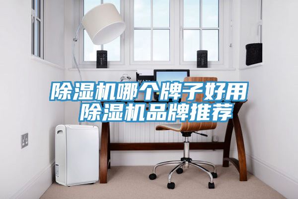 小黄片直播视频哪个牌子好用 小黄片直播视频品牌推荐