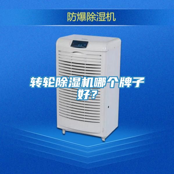 转轮小黄片直播视频哪个牌子好？