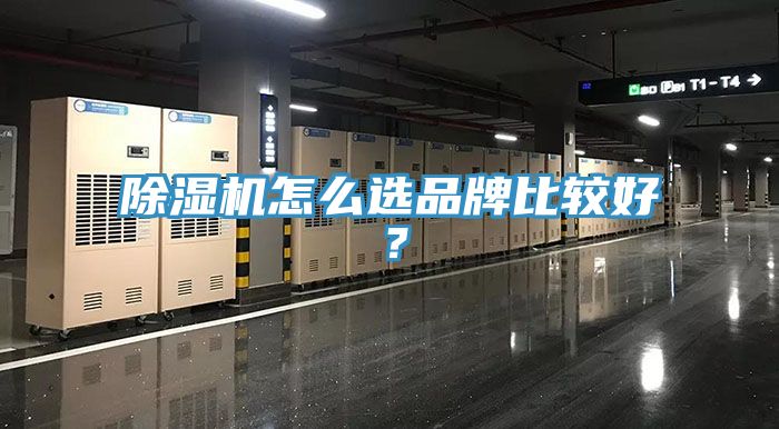 小黄片直播视频怎么选品牌比较好？