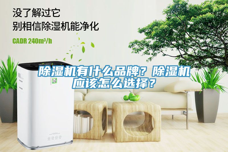 小黄片直播视频有什么品牌？小黄片直播视频应该怎么选择？