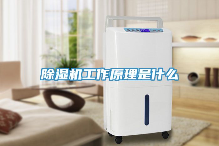 小黄片直播视频工作原理是什么