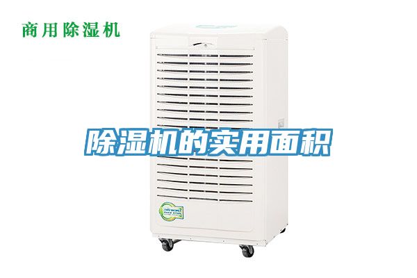 小黄片直播视频的实用面积