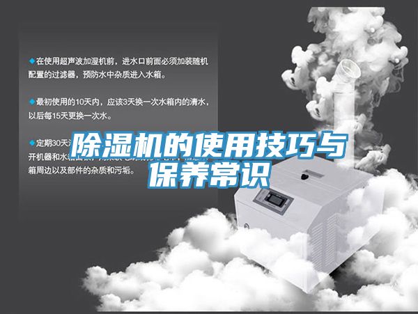 小黄片直播视频的使用技巧与保养常识