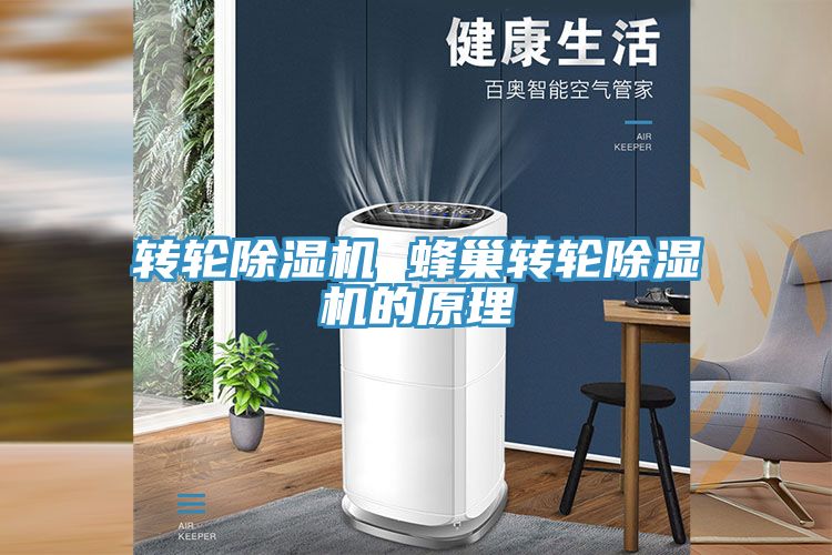 转轮小黄片直播视频 蜂巢转轮小黄片直播视频的原理