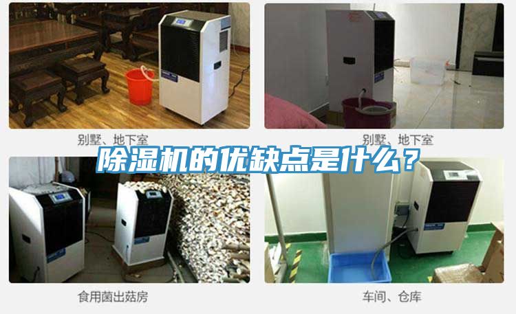 小黄片直播视频的优缺点是什么？