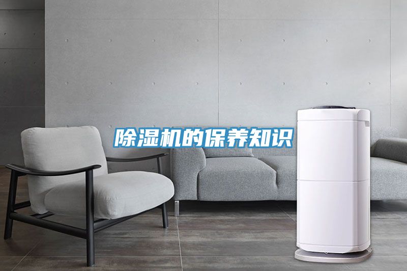 小黄片直播视频的保养知识