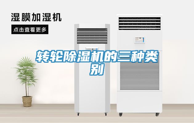 转轮小黄片直播视频的三种类别
