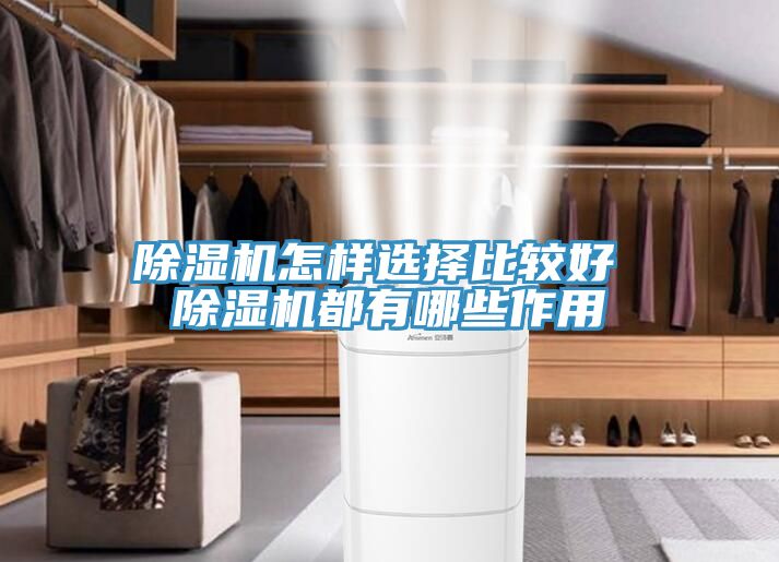 小黄片直播视频怎样选择比较好 小黄片直播视频都有哪些作用