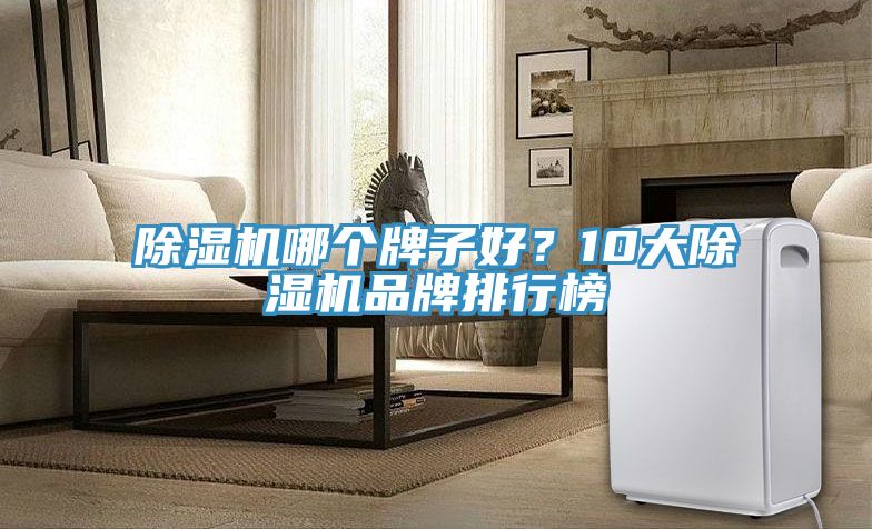 小黄片直播视频哪个牌子好？10大小黄片直播视频品牌排行榜