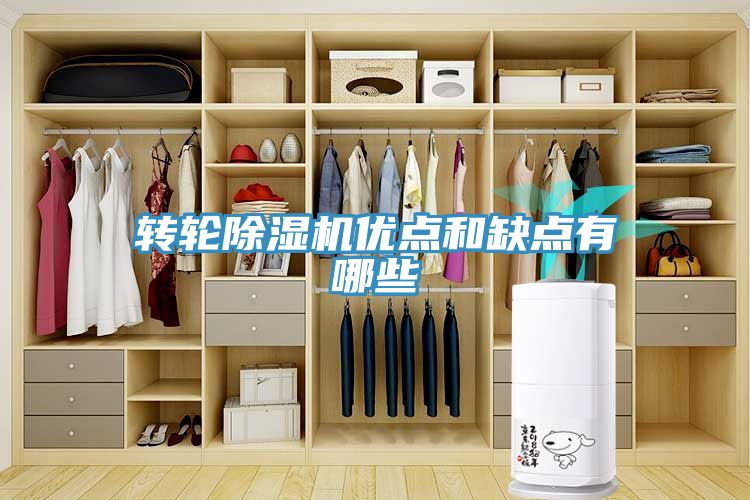 转轮小黄片直播视频优点和缺点有哪些