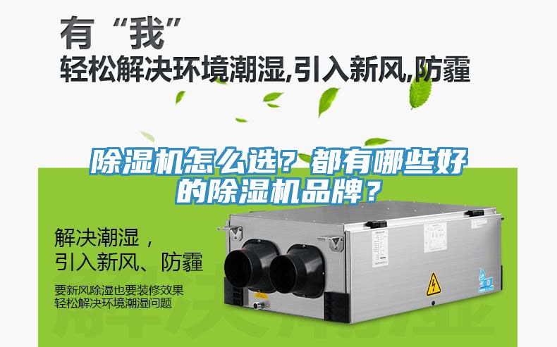 小黄片直播视频怎么选？都有哪些好的小黄片直播视频品牌？