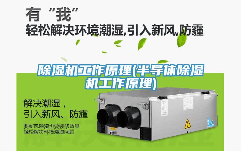 小黄片直播视频工作原理(半导体小黄片直播视频工作原理)