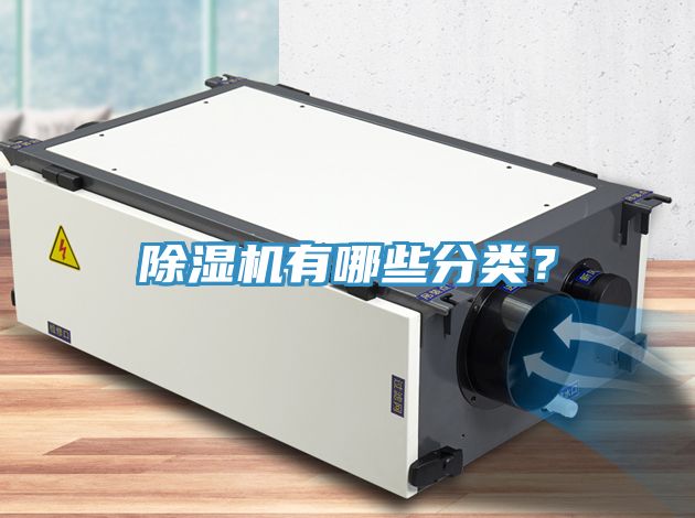 小黄片直播视频有哪些分类？