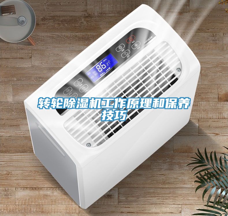 转轮小黄片直播视频工作原理和保养技巧