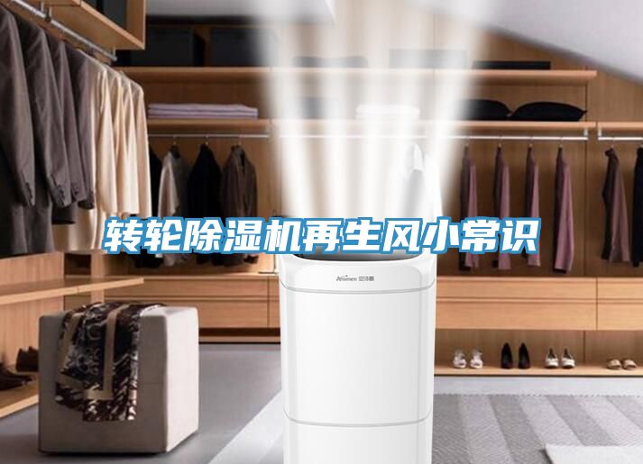 转轮小黄片直播视频再生风小常识