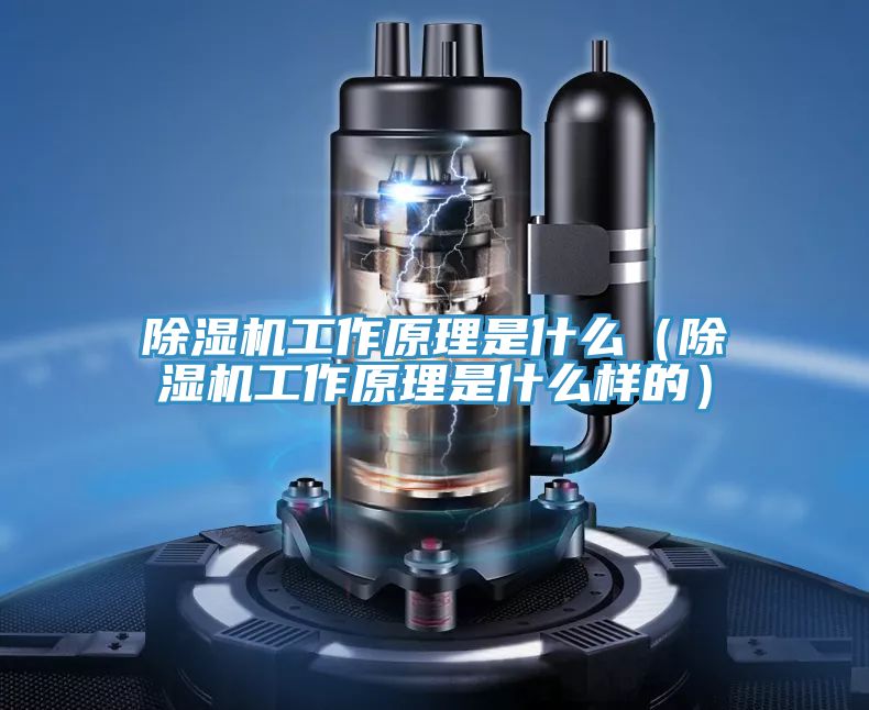 小黄片直播视频工作原理是什么（小黄片直播视频工作原理是什么样的）