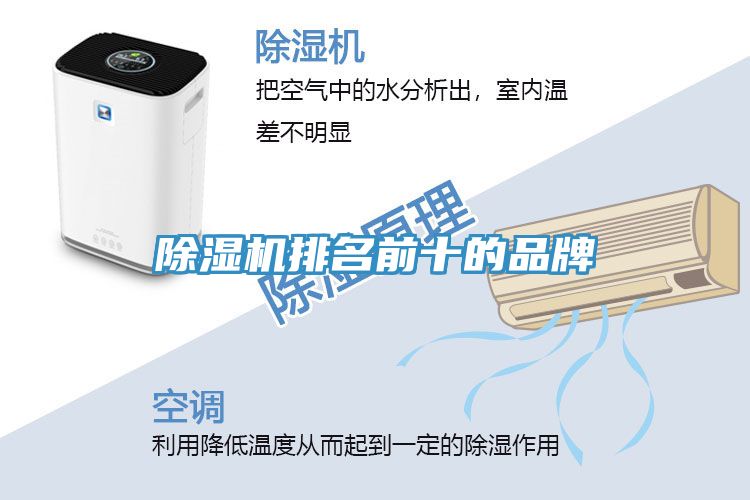 小黄片直播视频排名前十的品牌