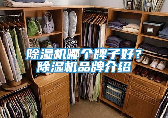 小黄片直播视频哪个牌子好？小黄片直播视频品牌介绍