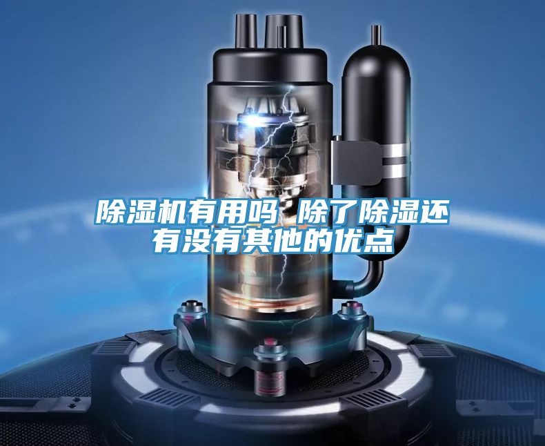 小黄片直播视频有用吗 除了除湿还有没有其他的优点