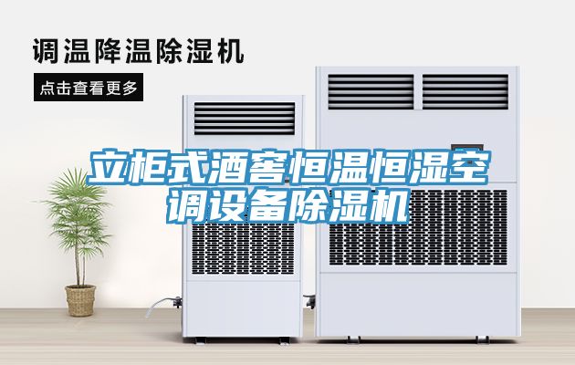 立柜式酒窖恒温恒湿空调设备小黄片直播视频