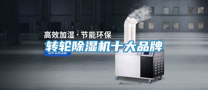 转轮小黄片直播视频十大品牌