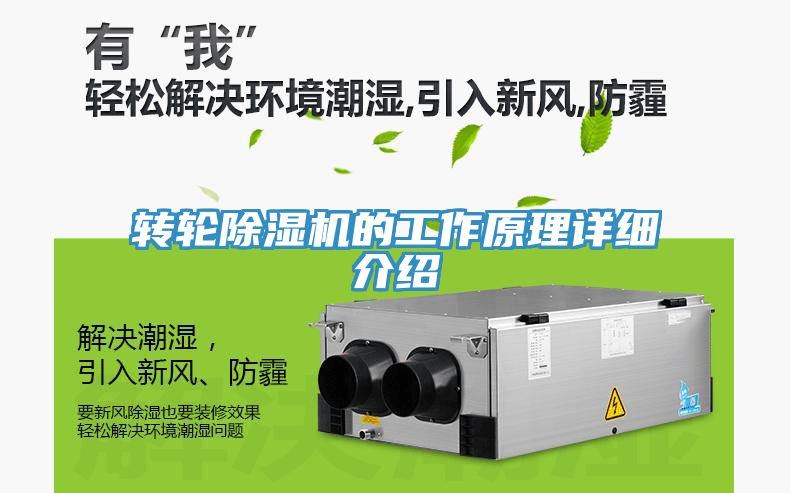 转轮小黄片直播视频的工作原理详细介绍