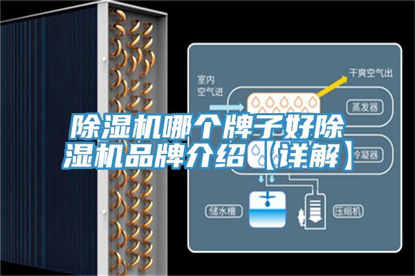 小黄片直播视频哪个牌子好小黄片直播视频品牌介绍【详解】