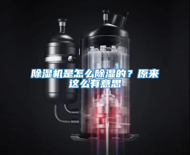 小黄片直播视频是怎么除湿的？原来这么有意思