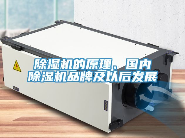 小黄片直播视频的原理、国内小黄片直播视频品牌及以后发展