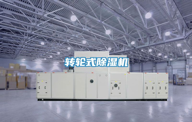 转轮式小黄片直播视频