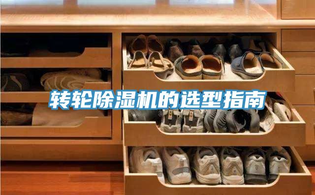 转轮小黄片直播视频的选型指南