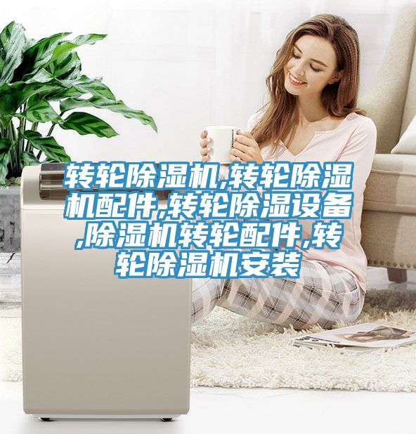 转轮小黄片直播视频,转轮小黄片直播视频配件,转轮除湿设备,小黄片直播视频转轮配件,转轮小黄片直播视频安装